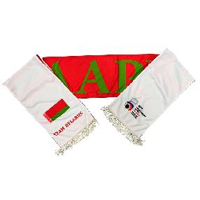 Шарф сублимация ЧМ 2007